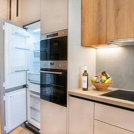 Luxury Modern Near Acropolis Apartment